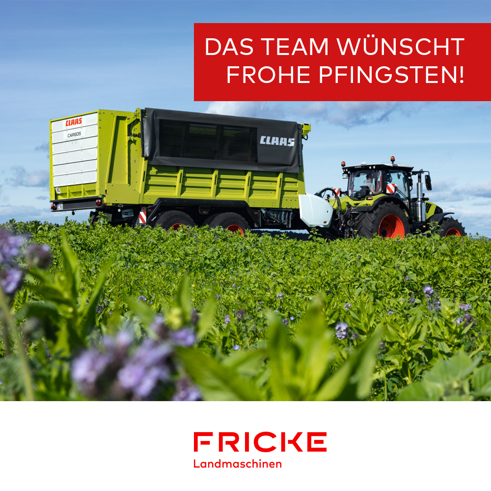 Frohe Pfingsten