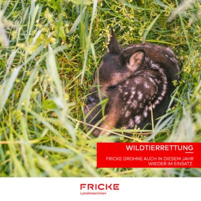 Wildtierrettung - FRICKE Drohne auch in diesem Jahr wieder im Einsatz