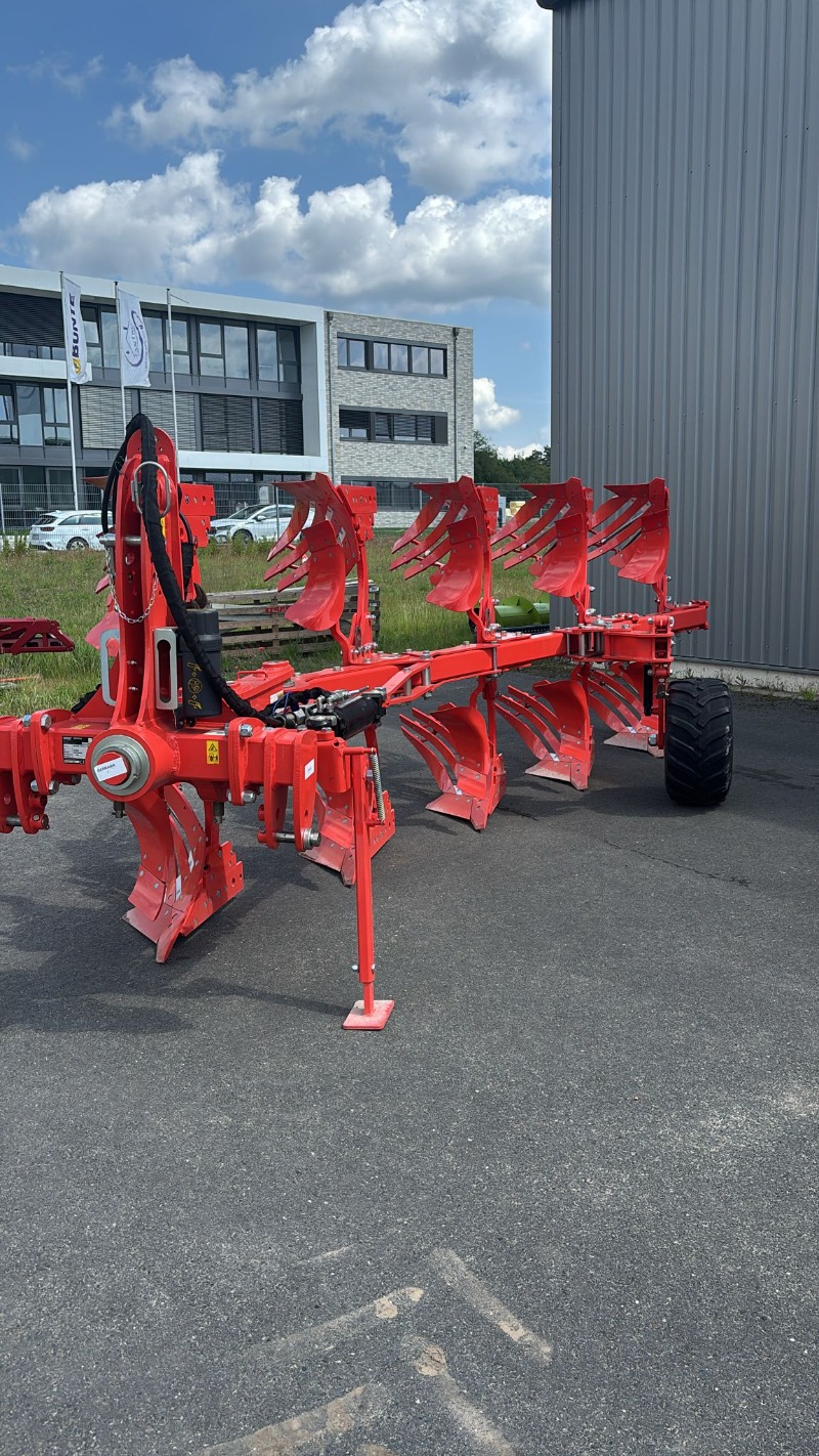 Maschio Unico M Passo 4+1 - Bodenbearbeitungsgerät - Pflug